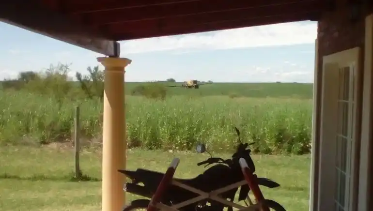 Denuncian fumigaciones en un campo rodeado de casas en Ruta 12