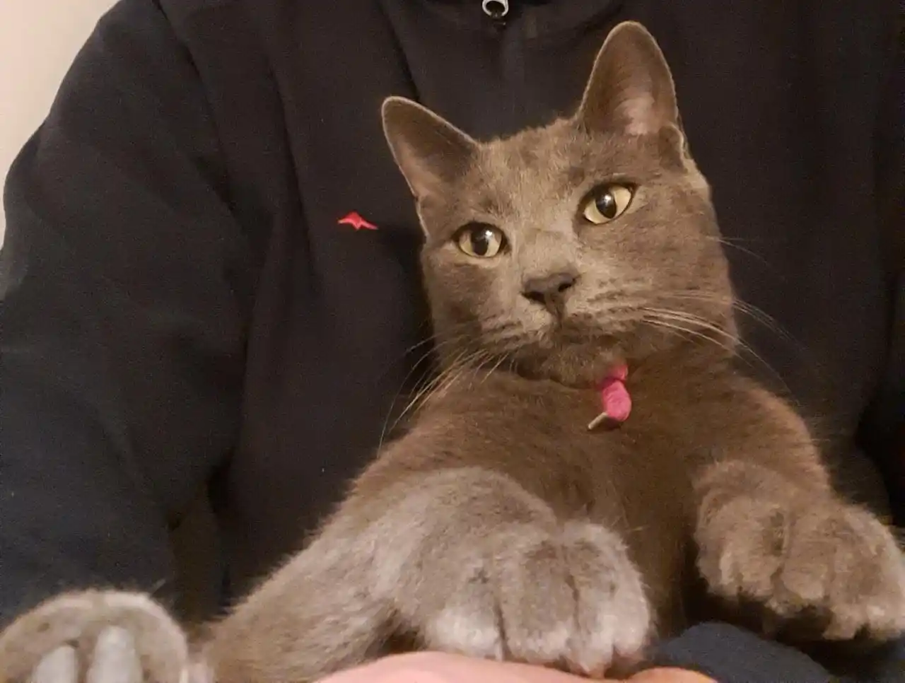 Lo buscan en la zona de Rivadavia e Yrigoyen