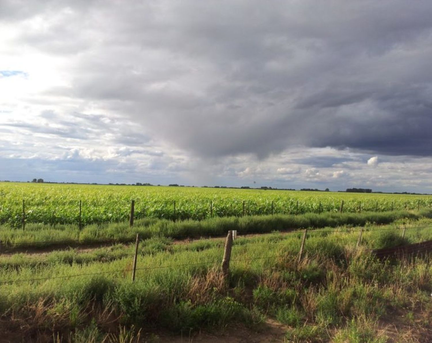 Las condiciones de “El Niño” ya están en la región y se espera una primavera lluviosa