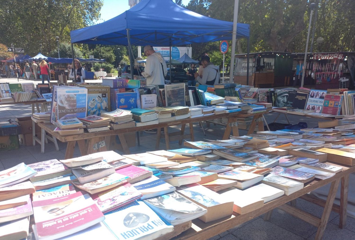 Sigue a buen ritmo la compra y canje de libros en la feria de la Peatonal