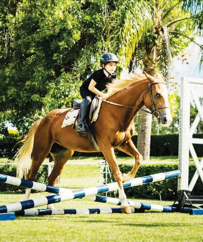 Se realiza un Concurso de Equitación en Club Hípico Concordia