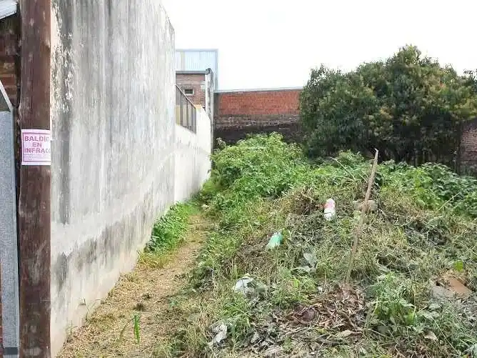 La comuna insta a propietarios a mantener 
la limpieza de terrenos baldíos y parterres