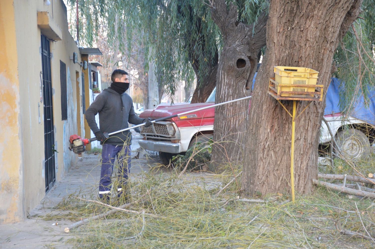 Trabajo con motoguadañas en espacios públicos de la ciudad.