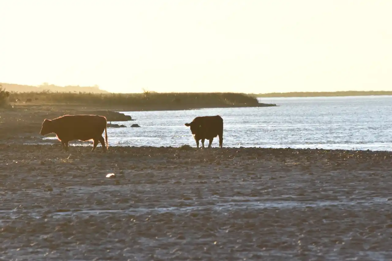 Río Paraná: se profundizó la bajante y persistirá por al menos tres meses