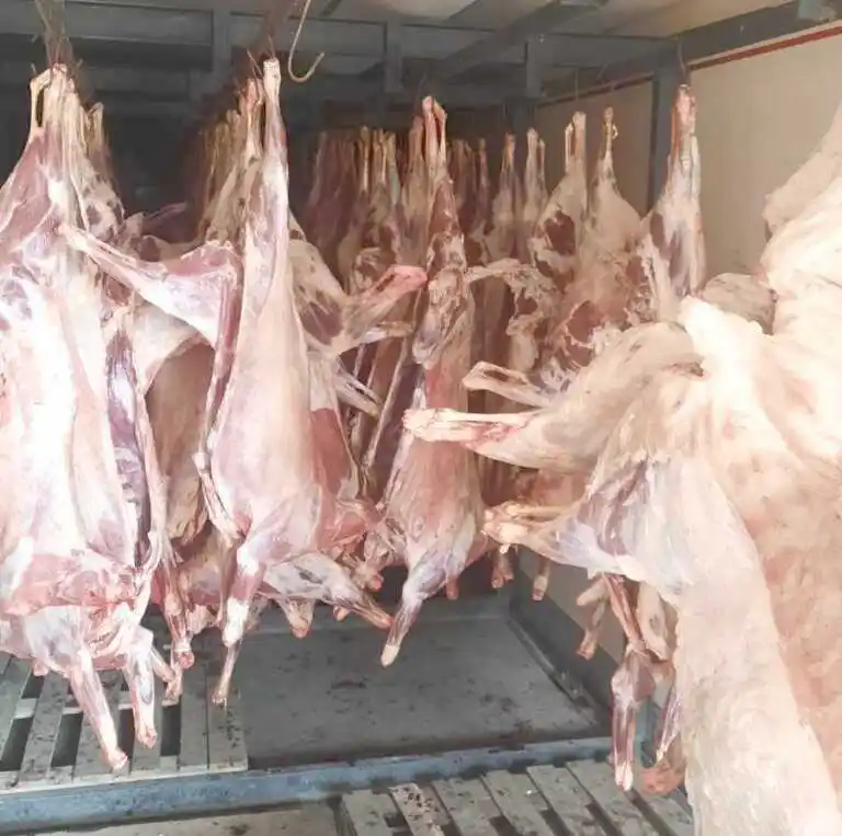 Las ferias paipperas pondrán a
la venta cabritos formoseños