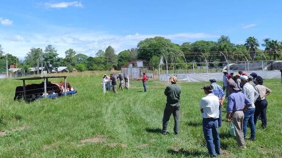 Centennials: el desafío de la integración generacional