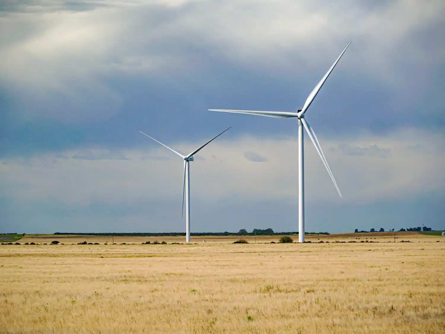 RIGI: el gobierno aprueba un nuevo proyecto, vinculado a la energía eólica