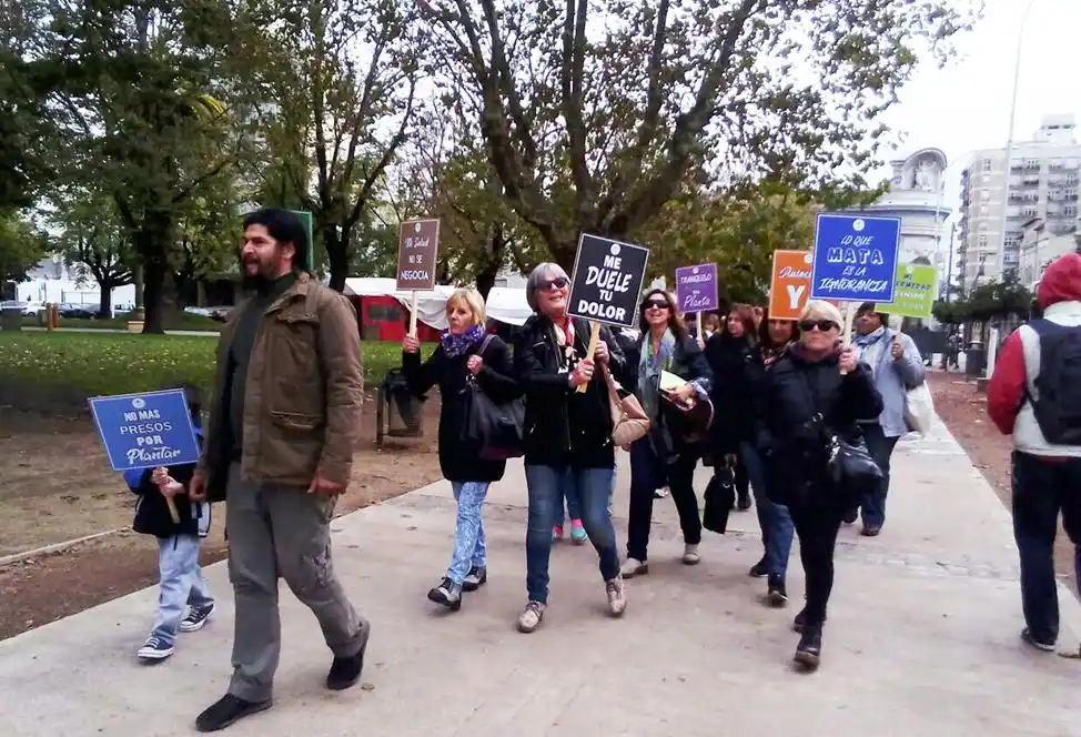 En el Día Mundial de la Marihuana, Tandil marchará por el autocultivo legal y la salud