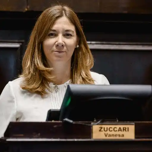 Zuccari: "Es necesario poner el límite de cero alcohol al conducir"