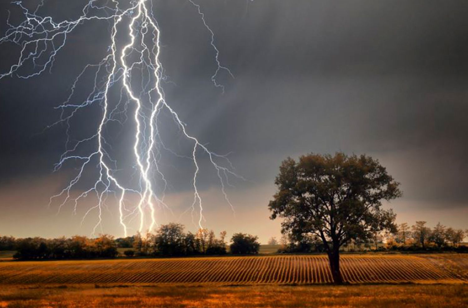 Vientos, tormentas y temperaturas extremas en la provincia