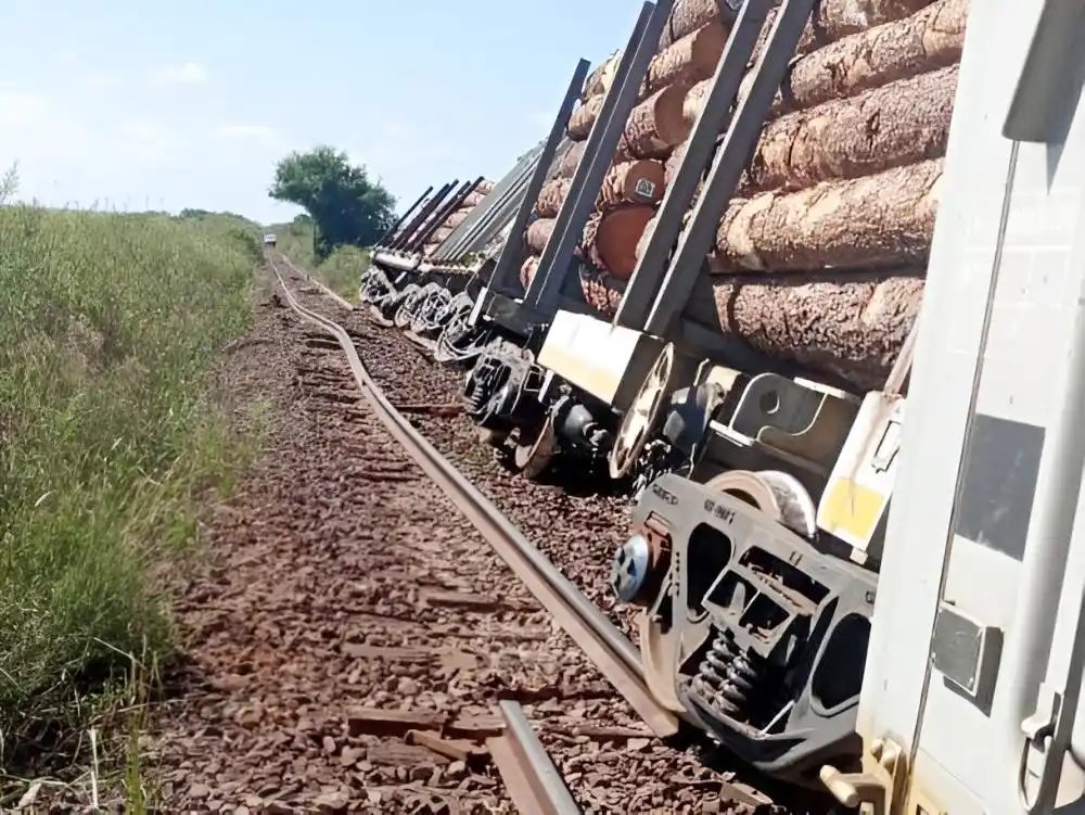 Descarriló un tren cargado de palos