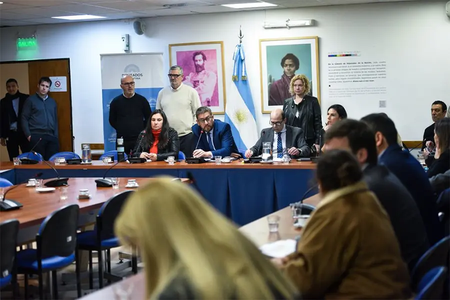Asuntos constitucionales avaló autorizar a la Jueza Capuchetti a investigar el celular del diputado Milman