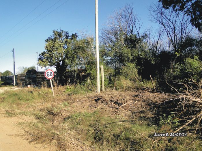desmonte nativas vuelta de obligado