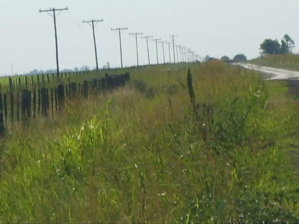 Licitan obra de electrificación rural por casi $ 100 millones