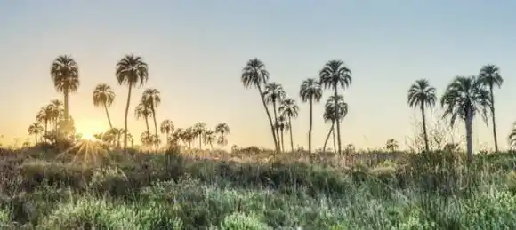 Oficializan quiénes podrán ingresar gratis a los Parques Nacionales