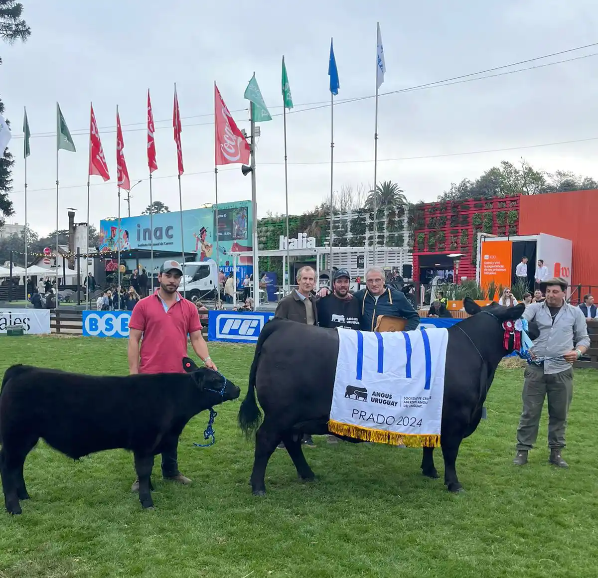 La Segunda mejor hembra Angus del mundo es de La Reserva