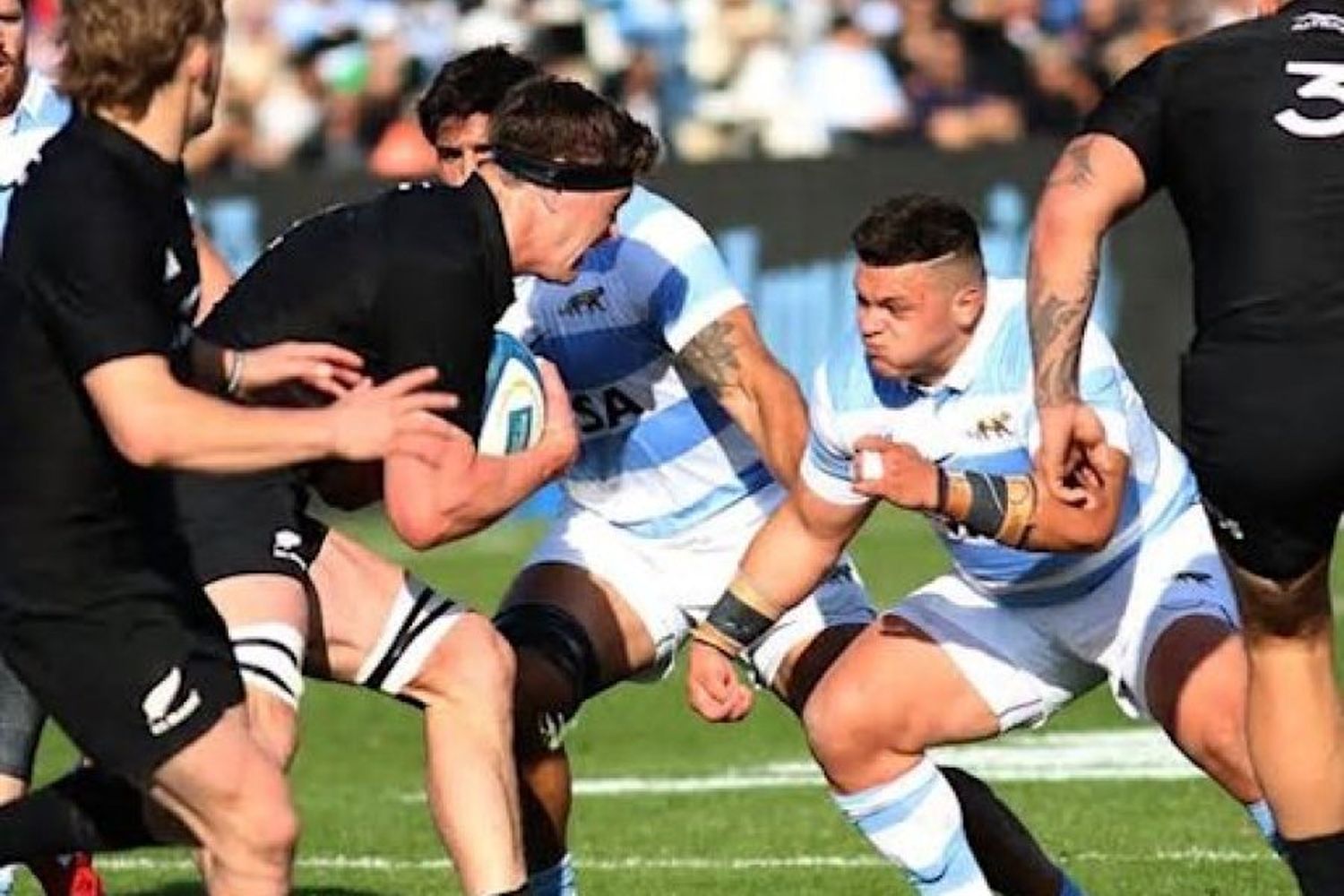 Calendario completo para Los Pumas en el Rugby Championship