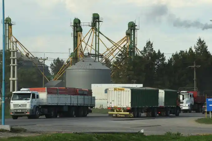 Las fábricas cerraron 2019 con 41,2 Mt procesadas de soja y comenzaron 2020 con stocks ajustados