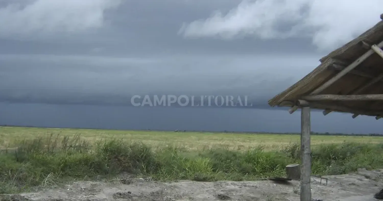 Mayo cierra con lluvias extraordinarias y un cambio de escenario para el trigo