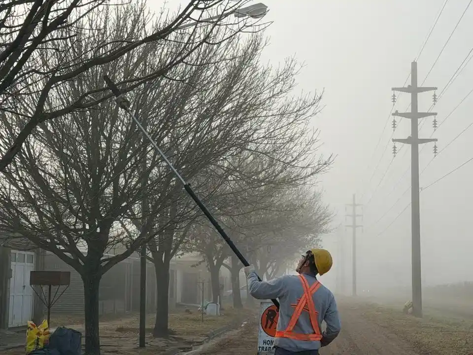 Inició el plan de poda y mantenimiento del arbolado urbano en distintos barrios