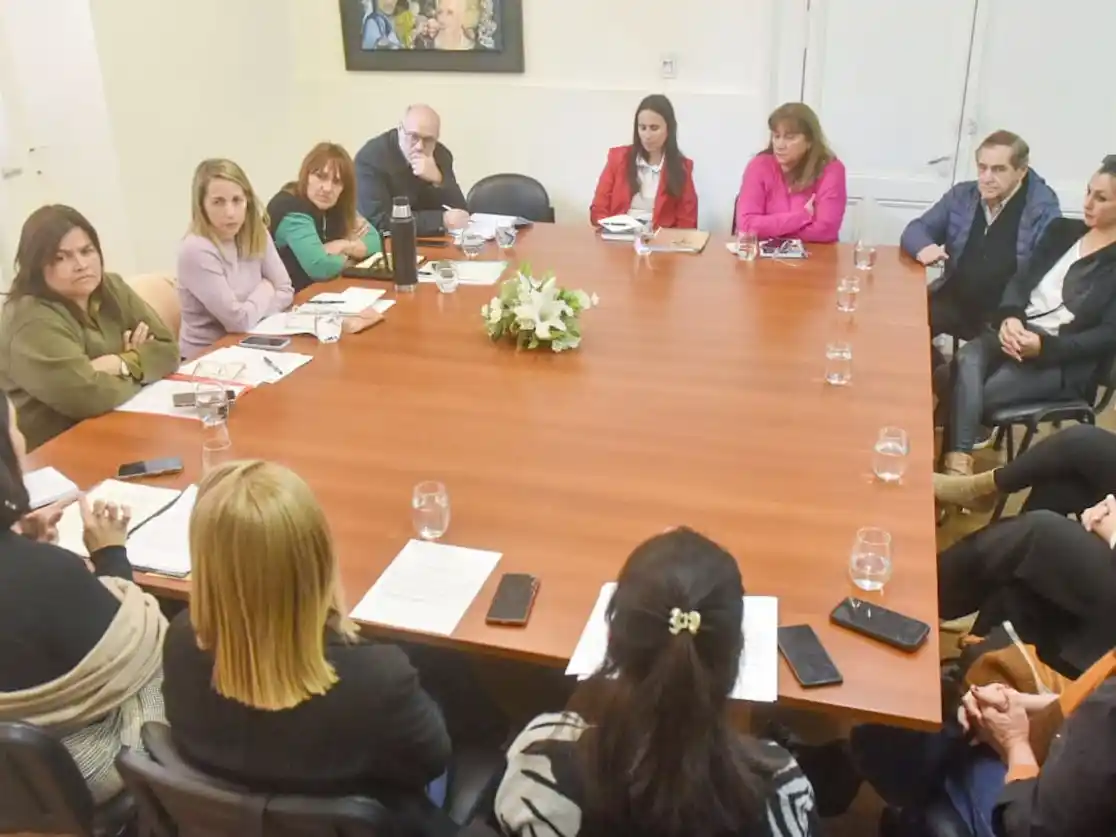 Instituciones entrerrianas exigen que la Legislatura trate la “Emergencia en Discapacidad”