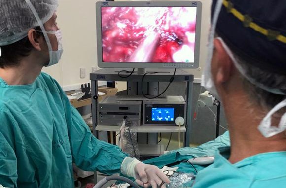 Se realizó en Rosario el primer autotrasplante: «Con otra técnica quirúrgica la paciente era inoperable”