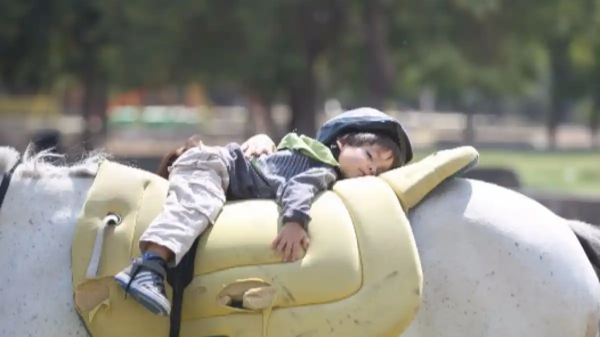 Equinoterapia: Promueven una ley provincial de regulación y cobertura en Salud