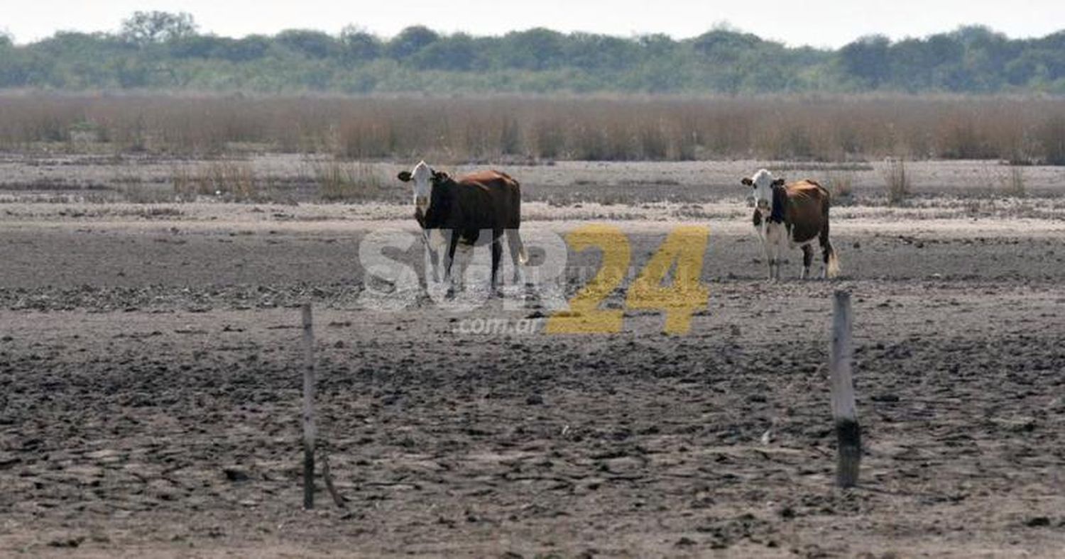 Emergencia Agropecuaria: la Provincia constatará las declaraciones juradas de los productores