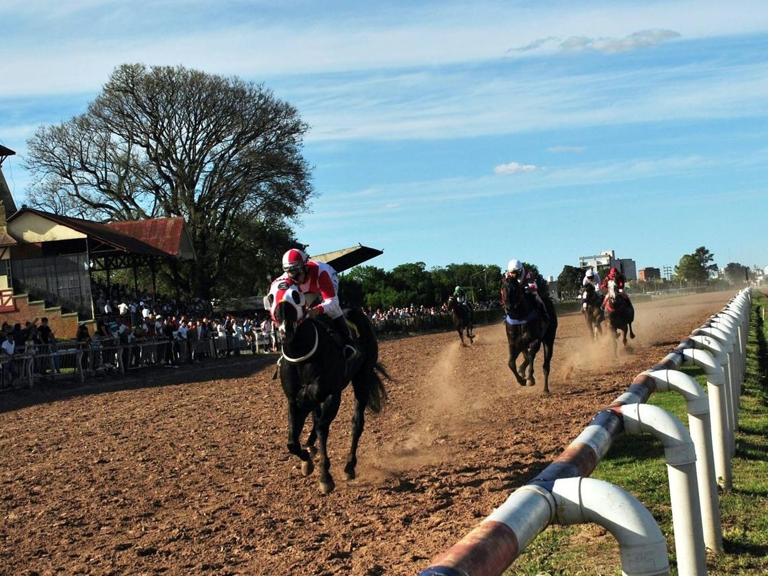 Finaliza este domingo la temporada hípica en la ciudad