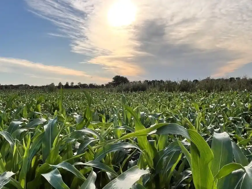 Habrá solo un pequeño alivio del calor con la inestabilidad que persistirá durante la semana.
