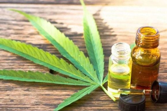 Respuestas positivas  del cannabis medicinal  a la epilepsia refractaria superaron el 80%