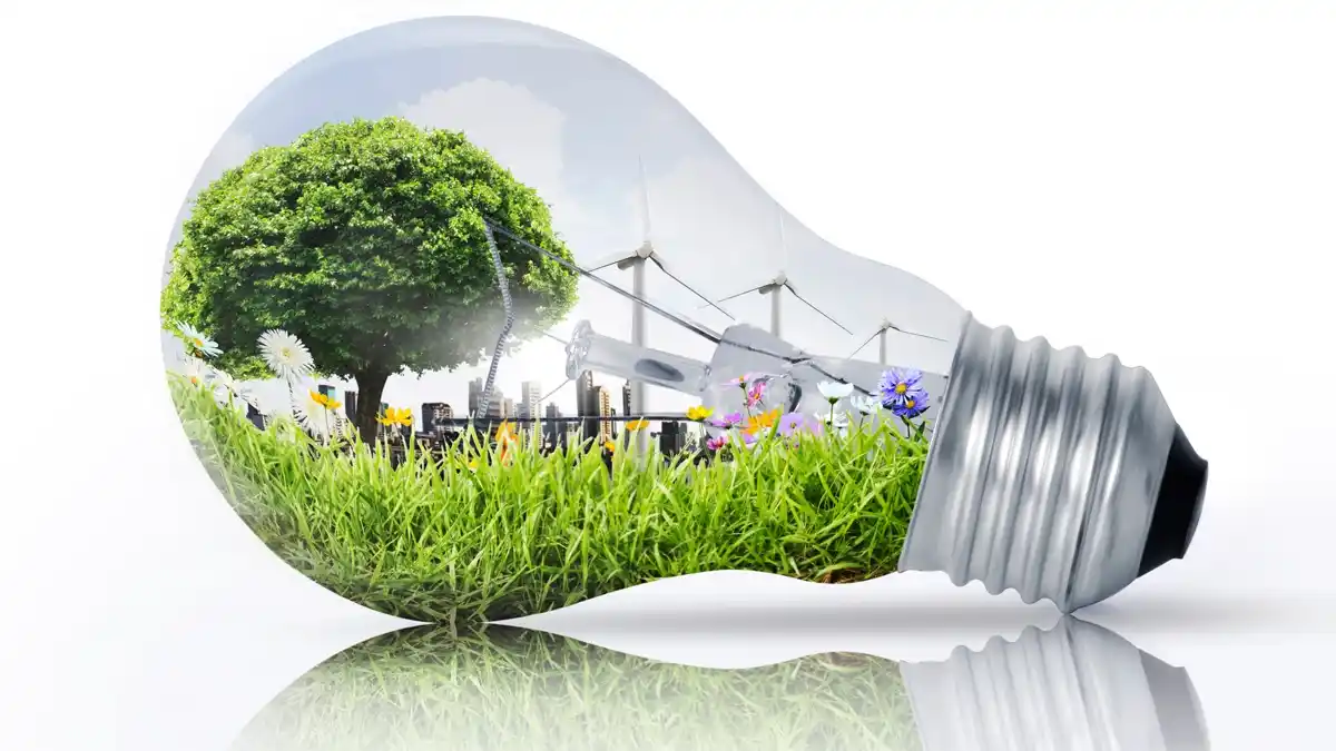 Día Mundial de la Eficiencia Energética