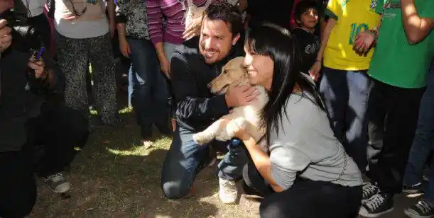 Convocan a nuevo reencuentro con mascotas tras el temporal en La Plata