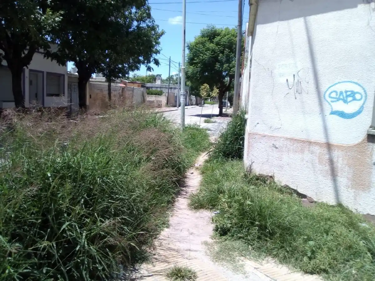 Desagües, malezas e higiene urbana