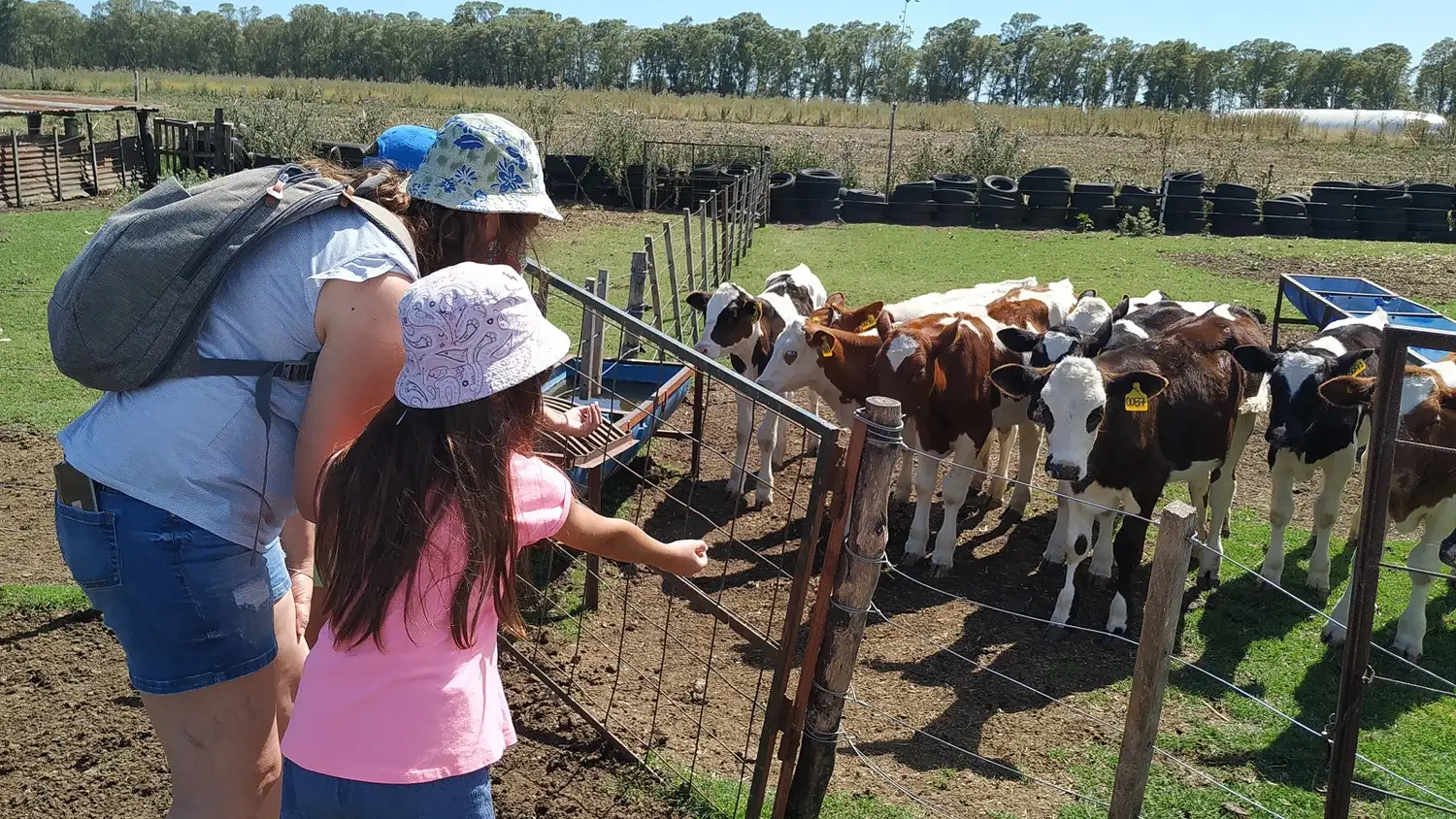 Foto cortesía Turismo Rural Tandil