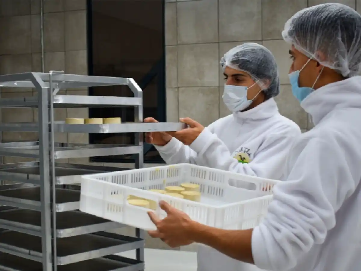 Quesos vegetales “made in” Argentina 