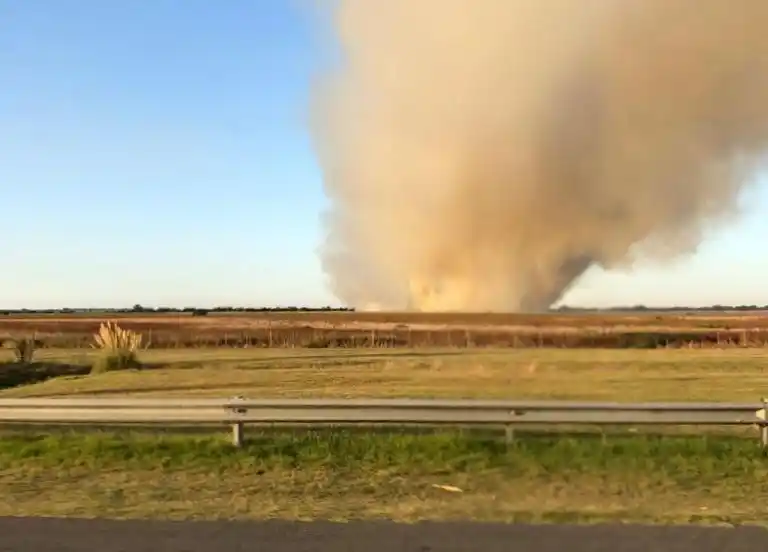 Ensenada: Fuego en la reserva natural de Punta Lara