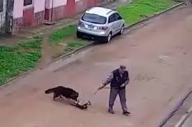 En Gualeguay sigue el maltrato y abandono animal