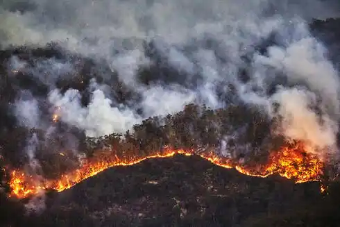 Alertan que los incendios forestales devastadores aumentarán para fin de siglo