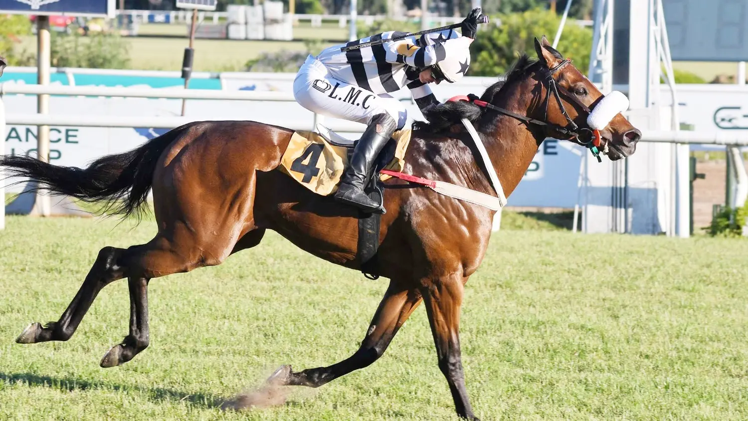 El Fortín, héroe del Unzué (G1), se estira en la distancia y va por otra victoria en el Clásico Haras Ojo de Agua (L), en San Isidro.