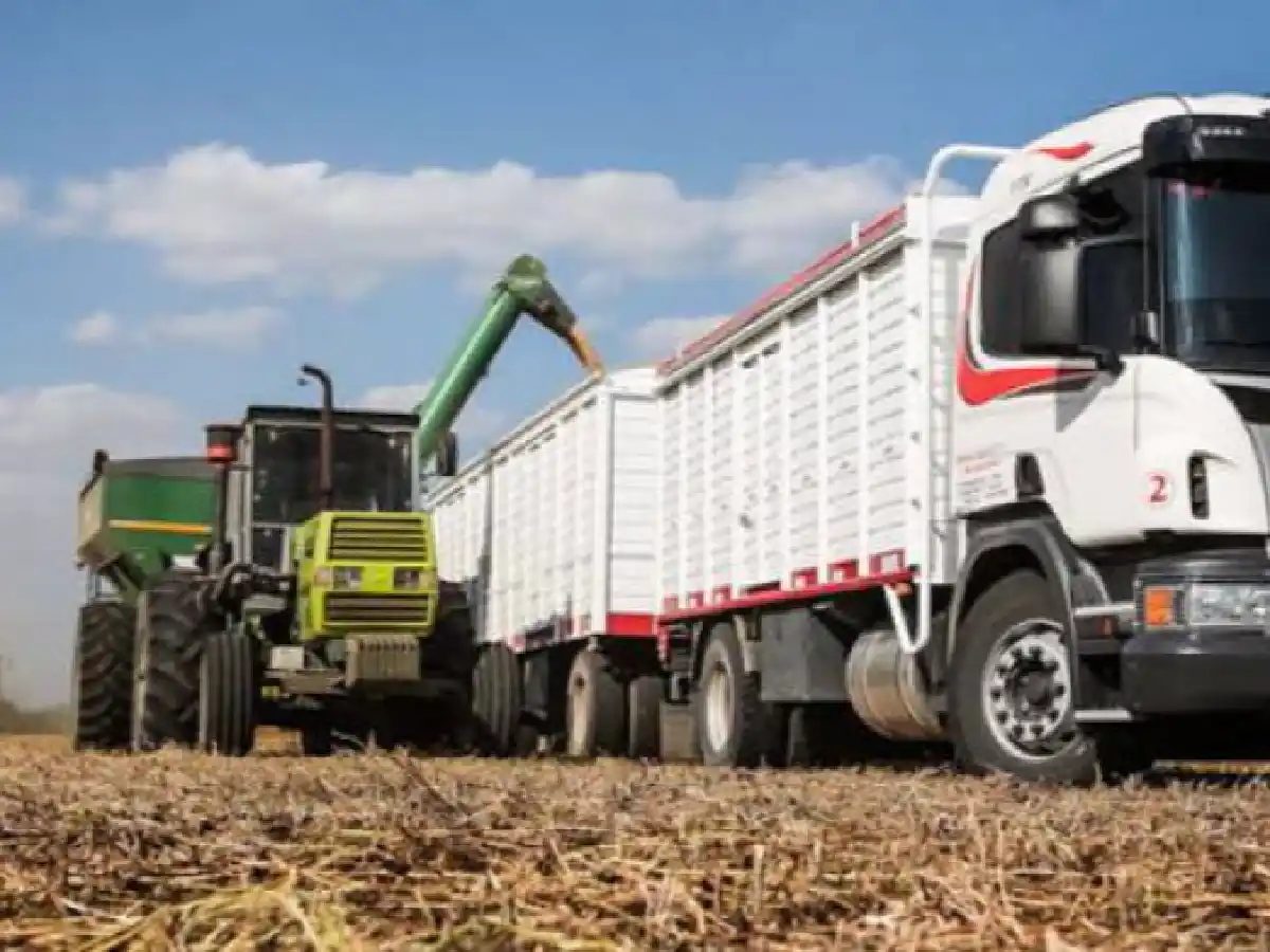 Cosecha récord demanda 10% más de camiones en Córdoba   