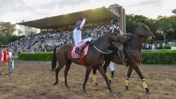 La Plata: se corre el clásico Gran Premio Dardo Rocha