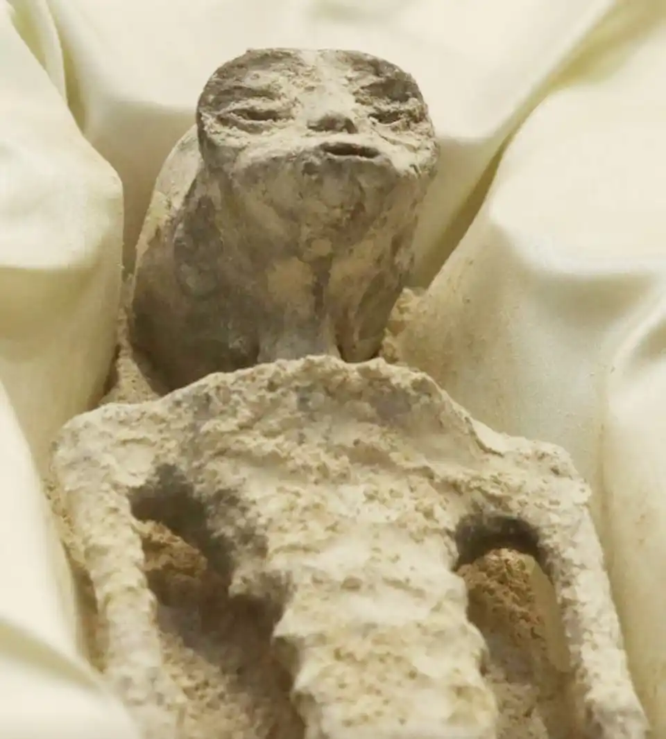 Presentaron dos cadáveres  "no humanos" en el Congreso de México