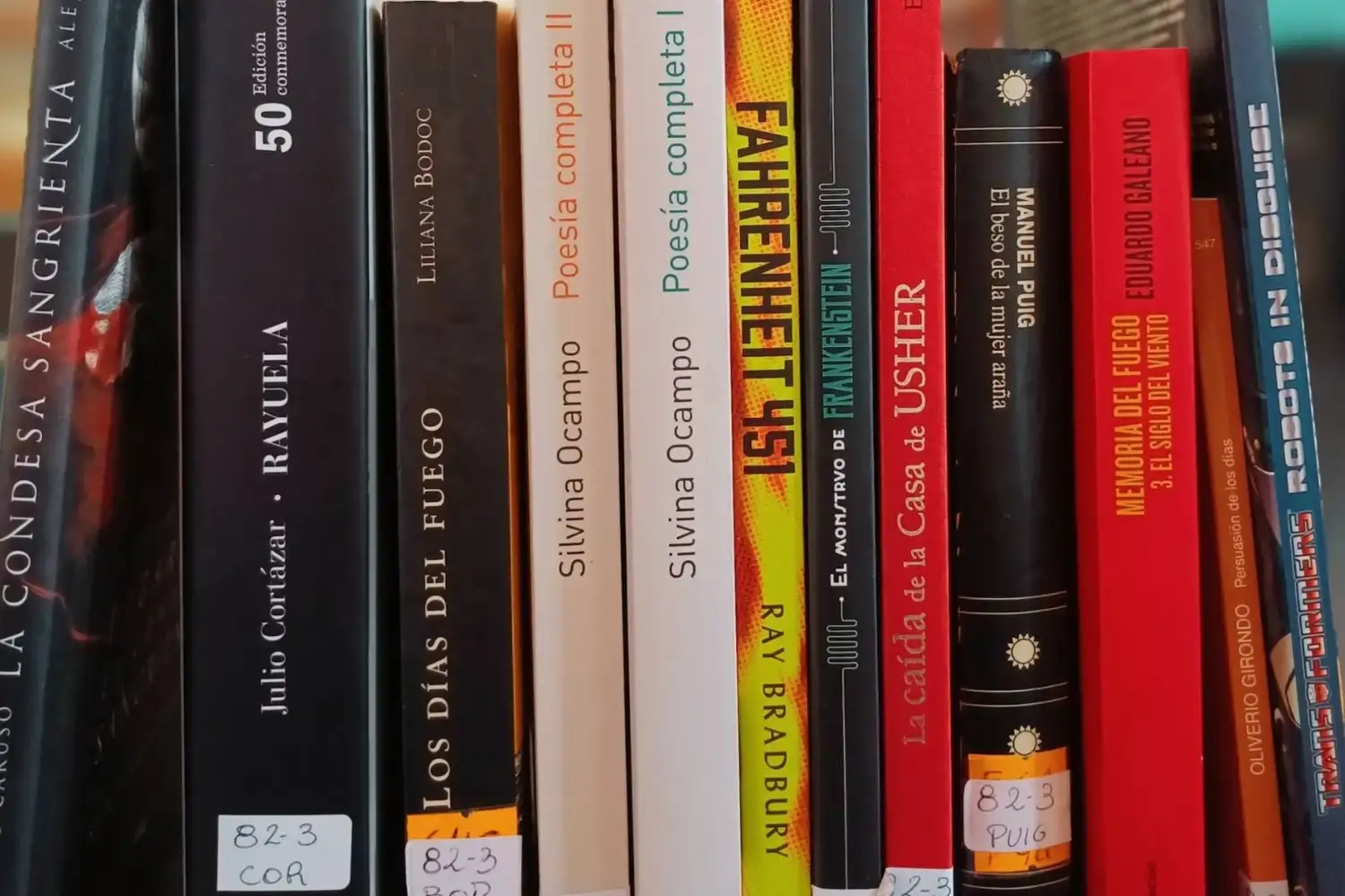 La Biblioteca Provincial lanzó una convocatoria a donar libros para fortalecer su Fondo General