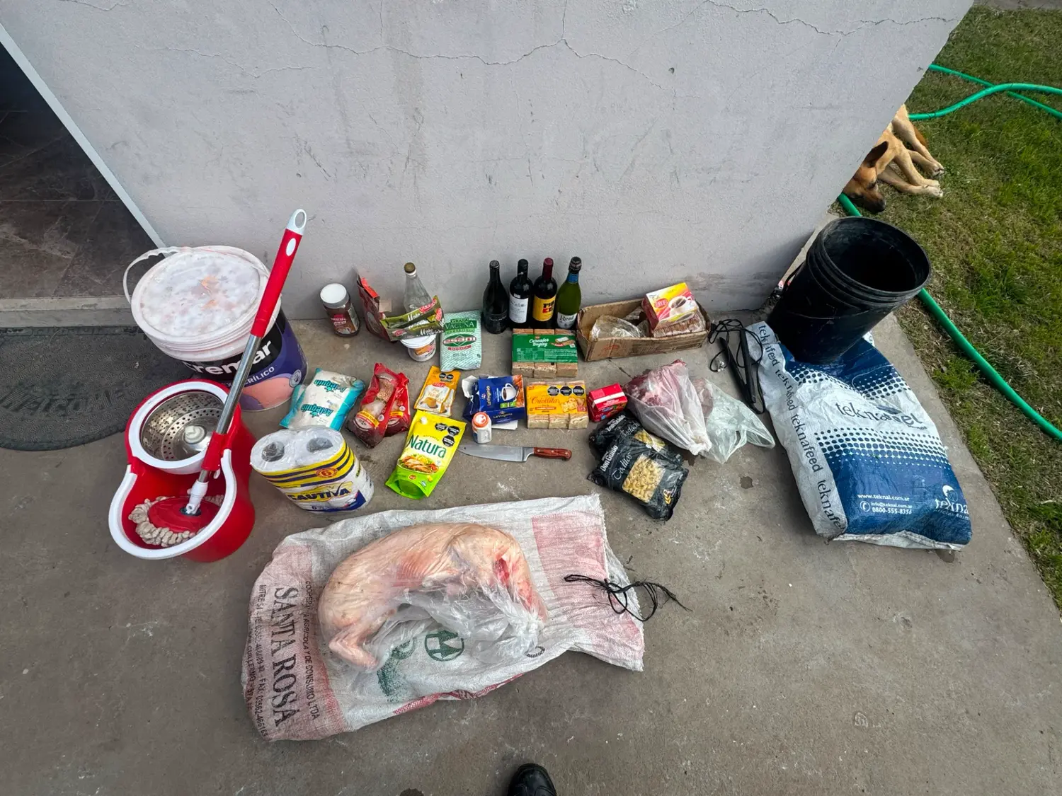Entró a una casa y se llevó "un poco de todo": desde una mopa, mayonesa, carne, pintura hasta café y sidra