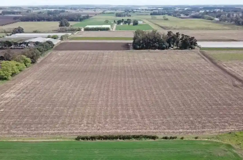 Cadetes adquirió un predio para construir su nueva villa deportiva
