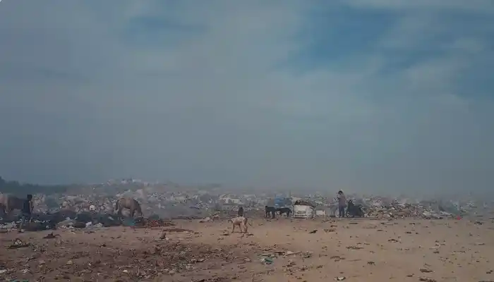 Una dotación de Bomberos trabajó en la zona durante una hora y media.