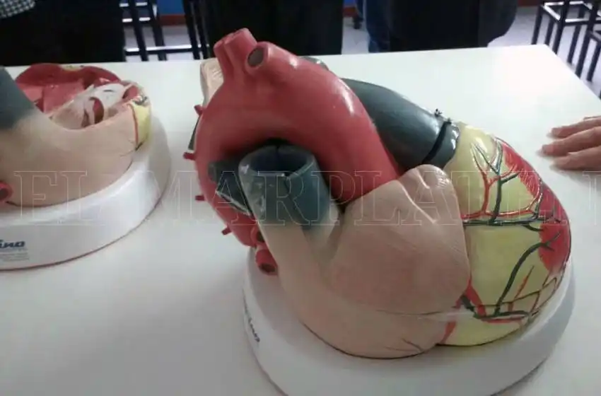 Medicina: ya son 1800 los inscriptos para la carrera