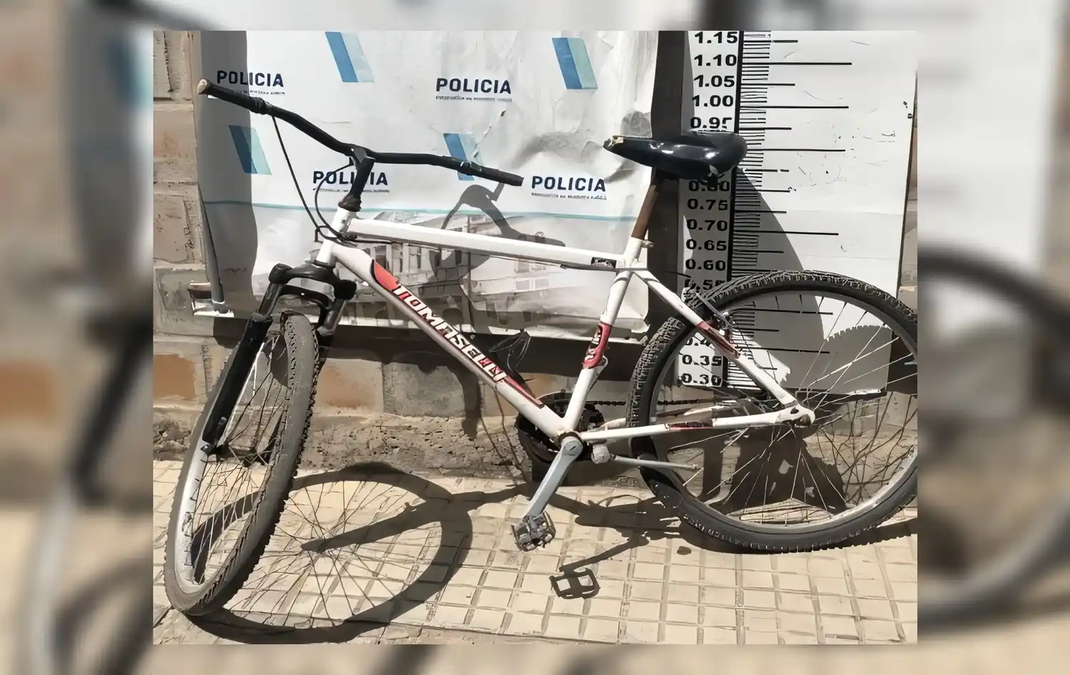 La bicicleta fue restituida a su propietario. Foto: Policía Bonaerense.