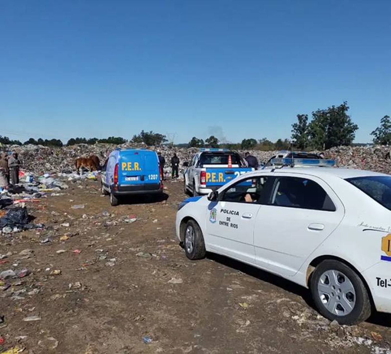 Encontraron un feto en el Campo El Abasto